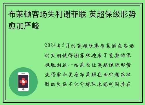 布莱顿客场失利谢菲联 英超保级形势愈加严峻